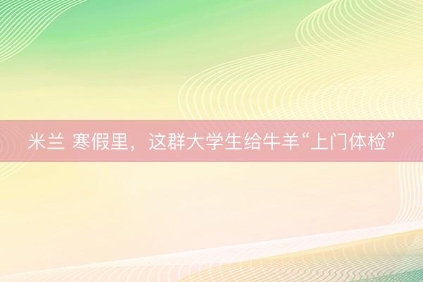 米兰 寒假里，这群大学生给牛羊“上门体检”